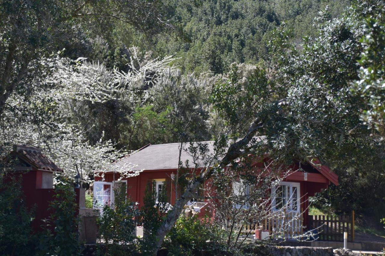 La Gustoza Casa di campagna *