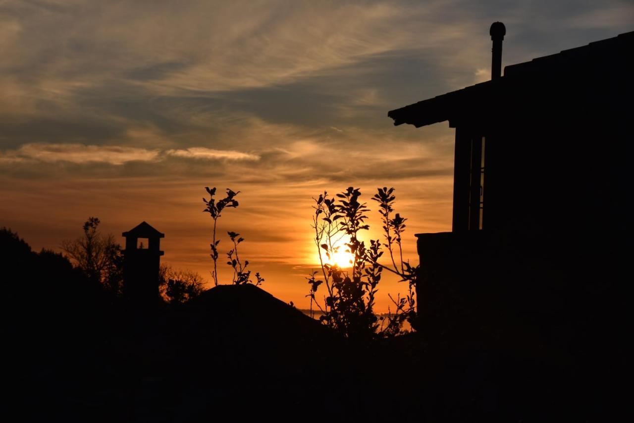 La Gustoza Casa di campagna El Sauzal